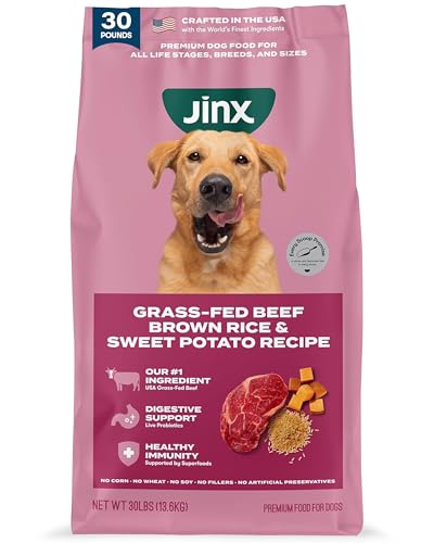 Jinx Premium Dry Dog Food, for All Lifestages - Real Beef, Brown Rice & Sweet Potato Kibble with Superfoods for Immune Support & Probiotics for Digestive Support - No Fillers - 30lb