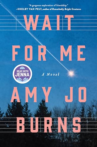 Wait for Me book cover