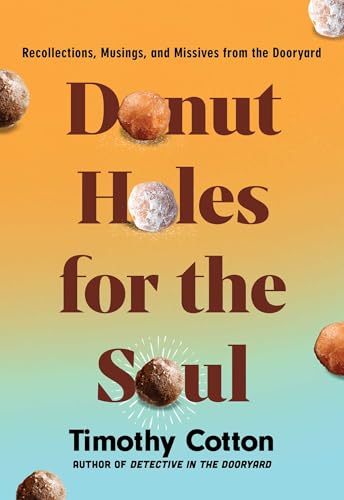 Donut Holes for the Soul book cover