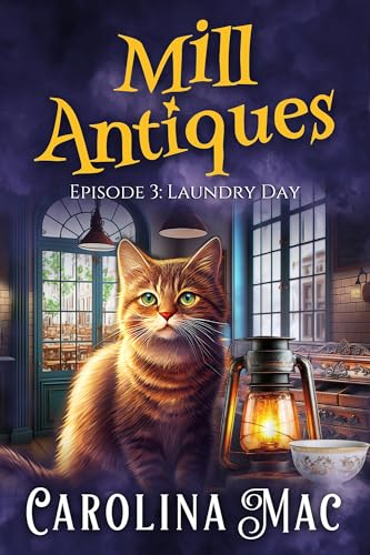 Laundry Day book cover