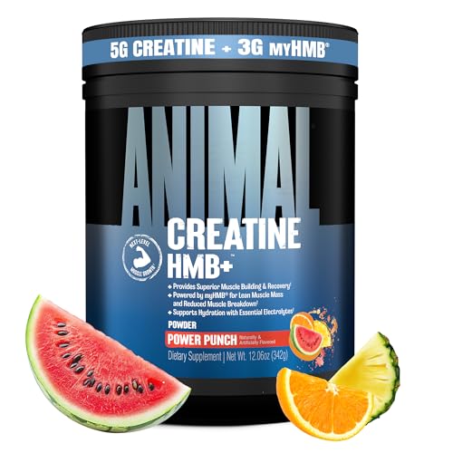 Animal Creatine HMB Powder – 5g Creatine + 3g myHMB with Electrolytes for Recovery & Daily Energy – Power Punch Flavor, 30 Servings