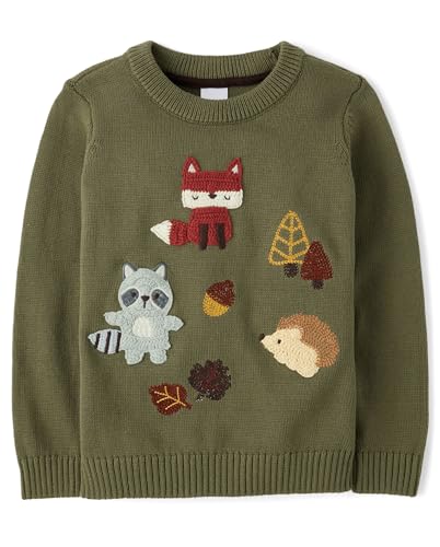 Gymboree,Boys,and Toddler Long Sleeve Embroidered Crew Neck Pullover Sweater,Olive Critters,8