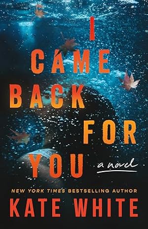 I Came Back for You cover