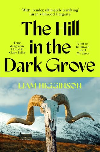 The Hill in the Dark Grove book cover