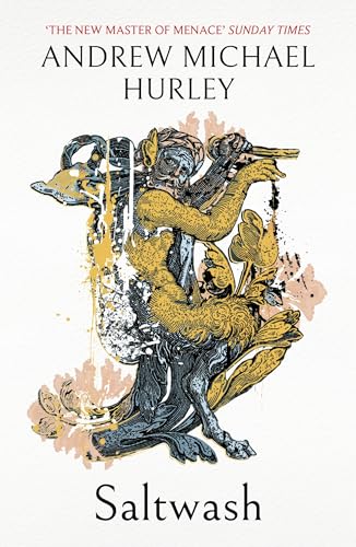 Saltwash book cover