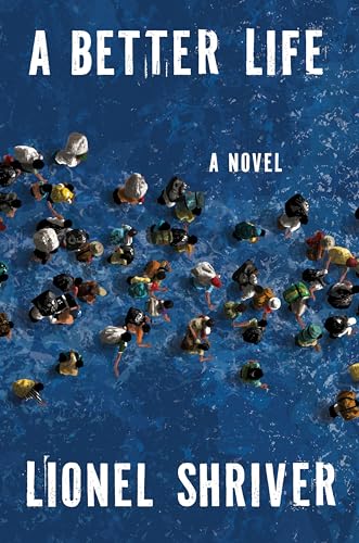 A Better Life book cover