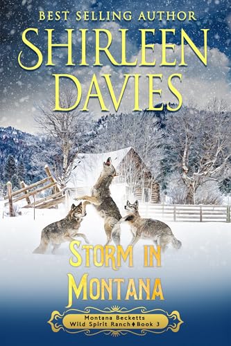 Storm in Montana book cover