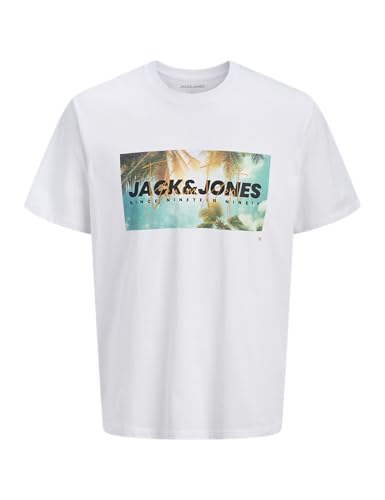 🔥 STARKER PREIS (-50%) JACK & JONES Jjindiana Tee Ss Crew Neck