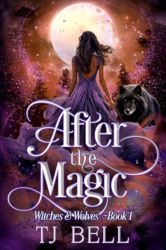 After the Magic book cover