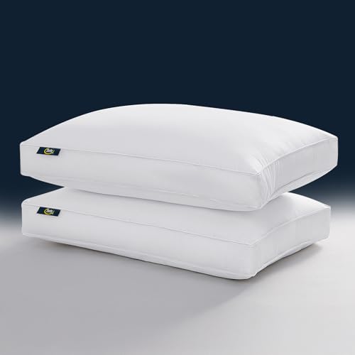 Serta Hotel Collection Pillows White Goose Feather Down Fiber Gusseted 100% Cotton, Queen Size Set of 2, 2 Count