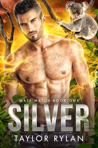 Silver book cover