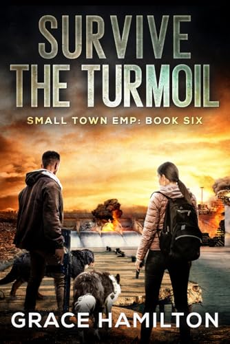 Survive the Turmoil book cover