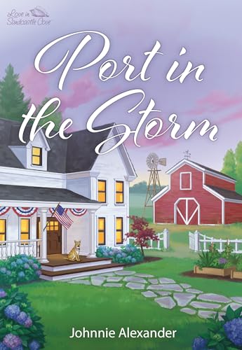Port in the Storm book cover