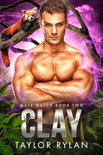 Clay book cover