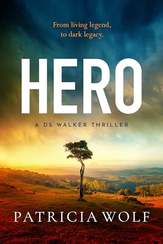 Hero book cover