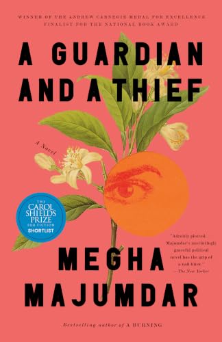 A Guardian and a Thief book cover
