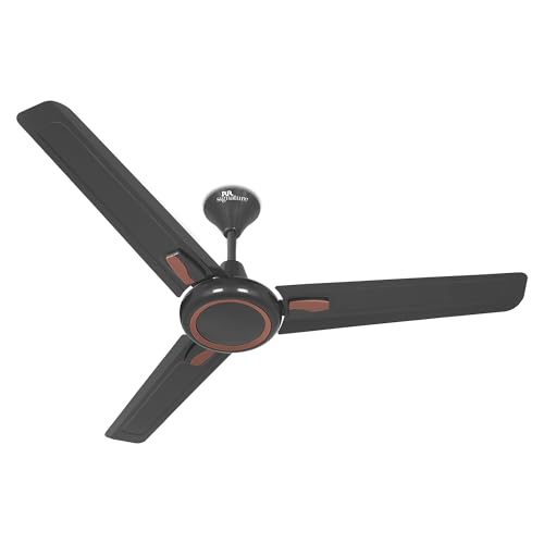 RR SIGNATURE NEOAIR DECO Ceiling Fan 1200 MM [VENETIAN GREY]