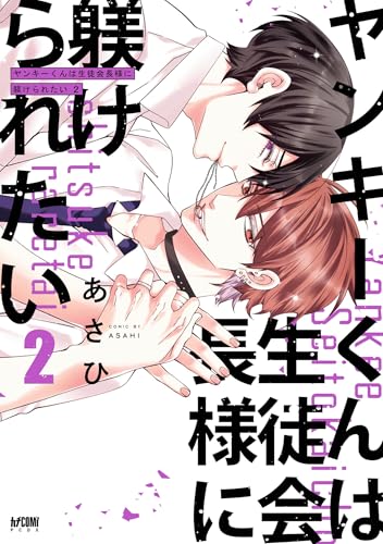 ヤンキーくんは生徒会長様に躾けられたいの表紙