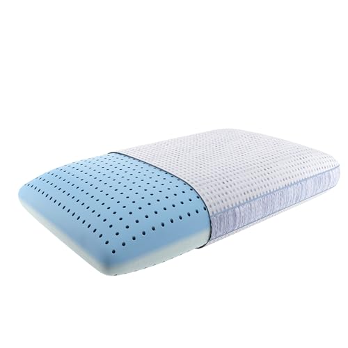 Serta ThermaGel w Memory Foam Pillow with AQUACOOL, Queen (U.S. Standard), White