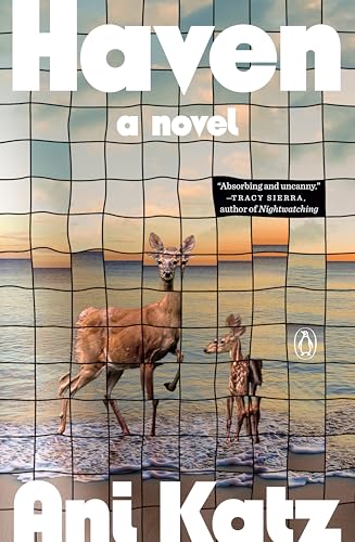 Haven book cover