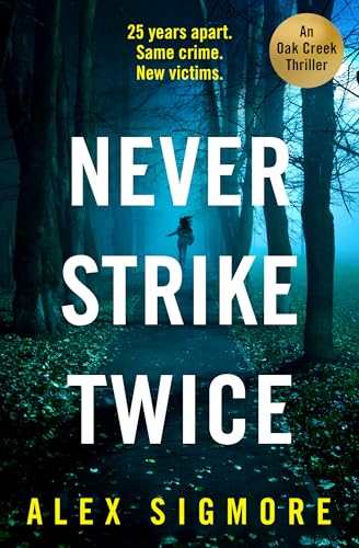 Never Strike Twice book cover