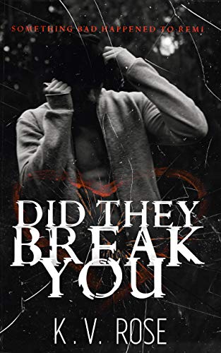 Did They Break You cover