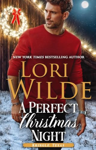 A Perfect Christmas Night book cover