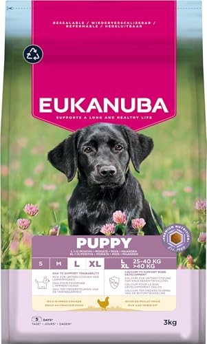 🔥 STARKER PREIS (-36%) Eukanuba Welpenfutter trocken mit frischem Huhn für große Rassen, 3 kg