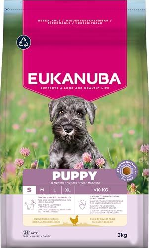 🔥 SELTEN SO GÜNSTIG (-55%) Eukanuba Welpenfutter trocken mit frischem Huhn für kleine Rassen, 3 kg