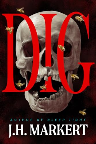 Dig book cover