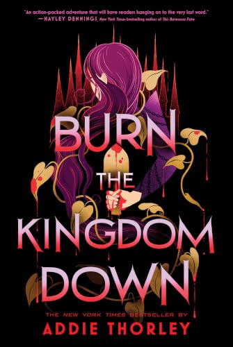 Burn the Kingdom Down book cover