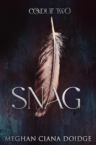 Snag book cover