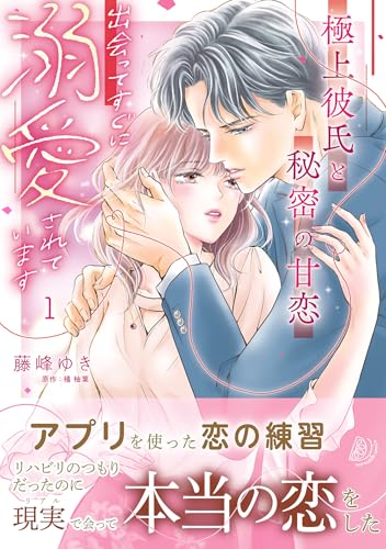 極上彼氏と秘密の甘恋〜出会ってすぐに溺愛されています〜の表紙
