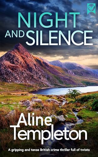 Night and Silence book cover