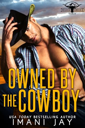 Owned By The Cowboy cover