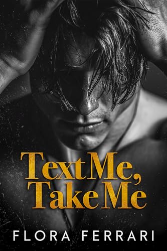 Text Me, Take Me book cover