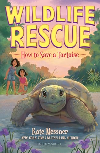 How to Save a Tortoise book cover