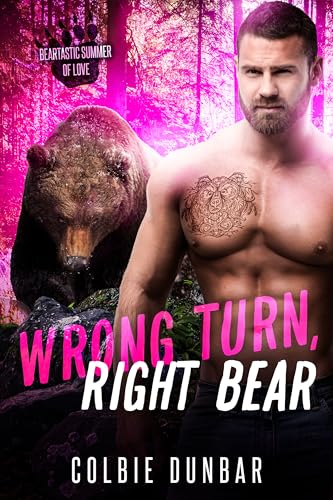 Wrong Turn, Right Bear book cover