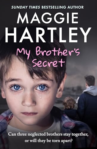 My Brother's Secret book cover