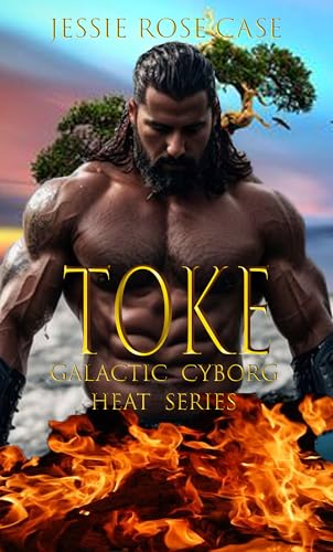 Toke book cover
