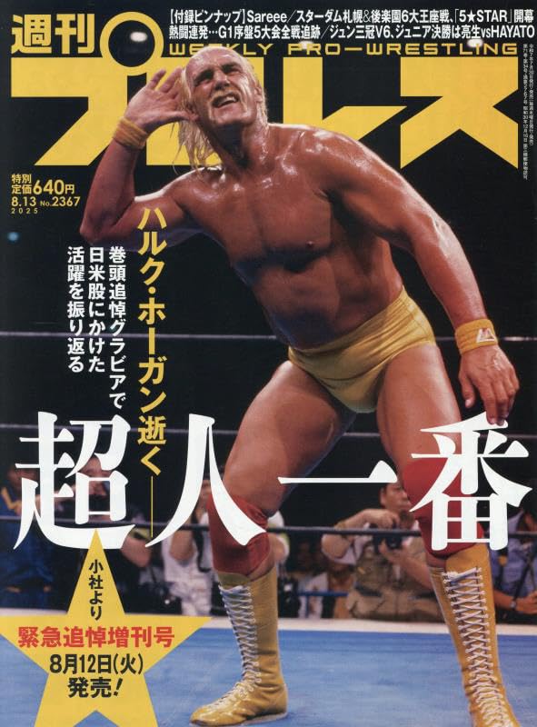月刊プロレス 1982年 1983年 8冊　ハルクホーガン レスラー　カード 月刊プロレス 1982年 1983年 8冊 ハルクホーガン レスラー