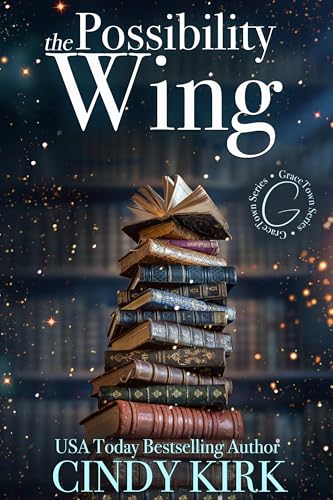 The Possibility Wing cover