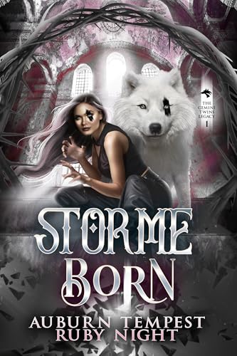 Storme Born book cover