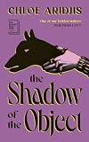 The Shadow of the Object