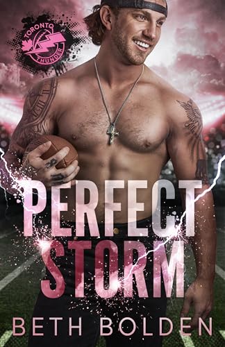Perfect Storm book cover