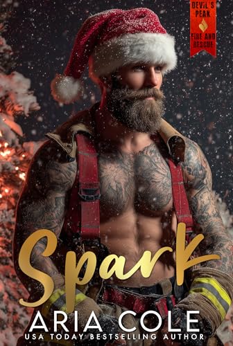 Spark book cover