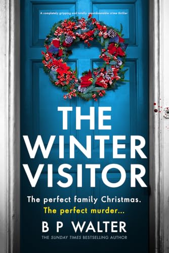 The Winter Visitor book cover