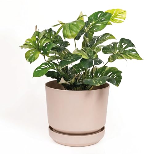 Elly Décor 14 inch Plastic Cylinder Planter Pot with Self-Watering Saucer and Drainage Hole,Lightweight & Extremely Durable, 14"x 14", Ivory