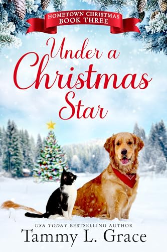 Under a Christmas Star book cover