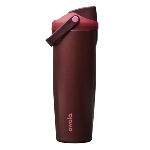 Owala FreeSip Insulated Stainless Steel Water Bottle